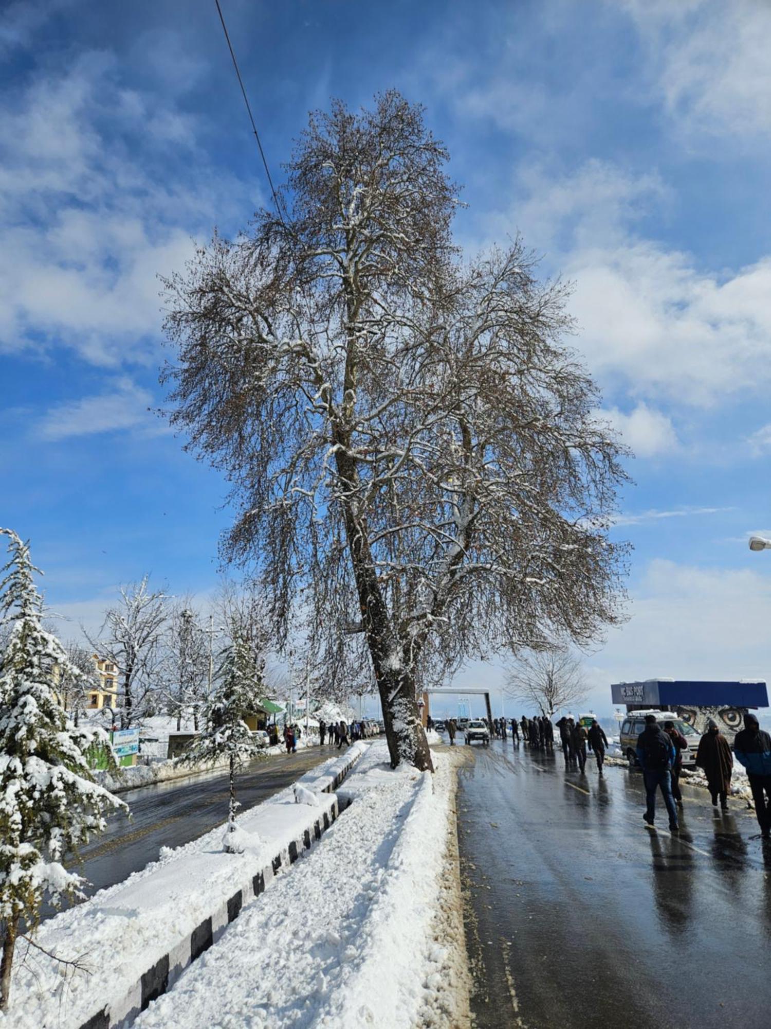 Everest Guest House Gulmarg Ngoại thất bức ảnh